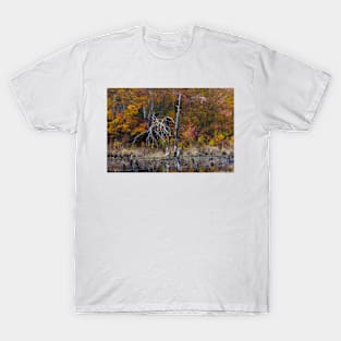 The Dead Branch T-Shirt